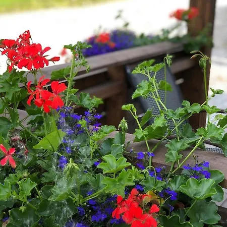 Apartamento Sagi 4 Private Hafslo